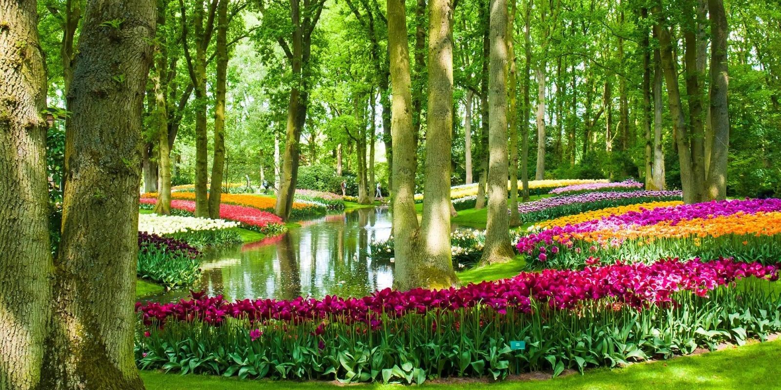 TOP 5 des lieux événementiels à Paris